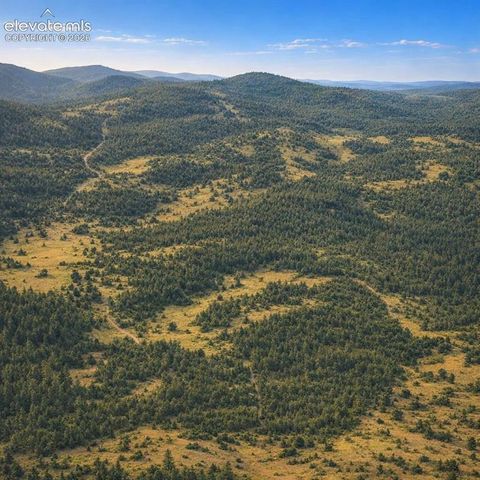 Arrowhead Road, Florissant, CO 80816
