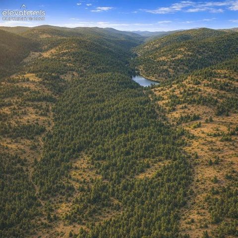 Arrowhead Road, Florissant, CO 80816
