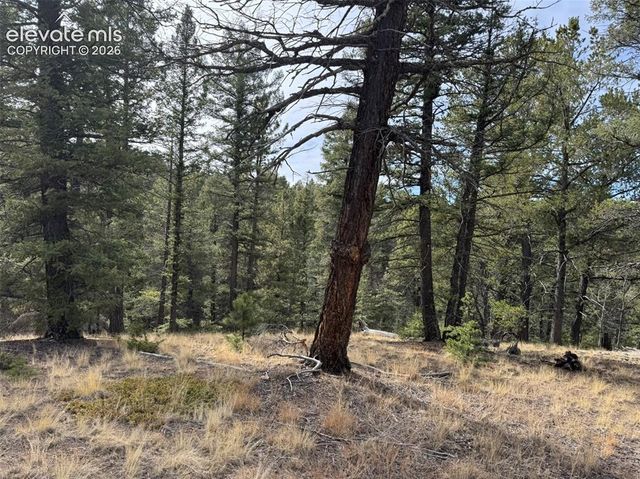 Arrowhead Road, Florissant, CO 80816