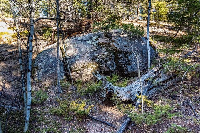 Arrowhead Road, Florissant, CO 80816