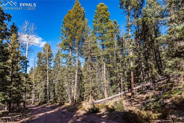 Arrowhead Road, Florissant, CO 80816