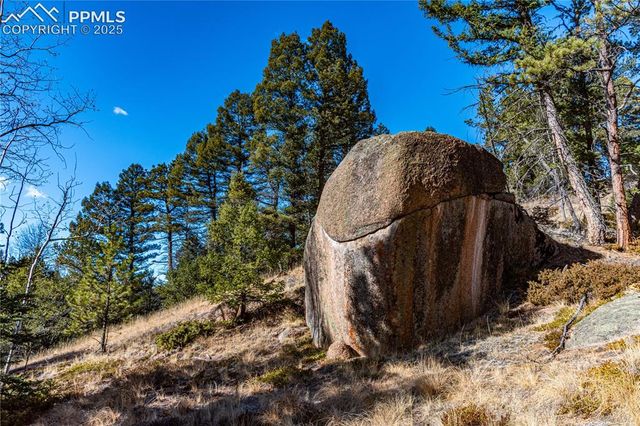Arrowhead Road, Florissant, CO 80816