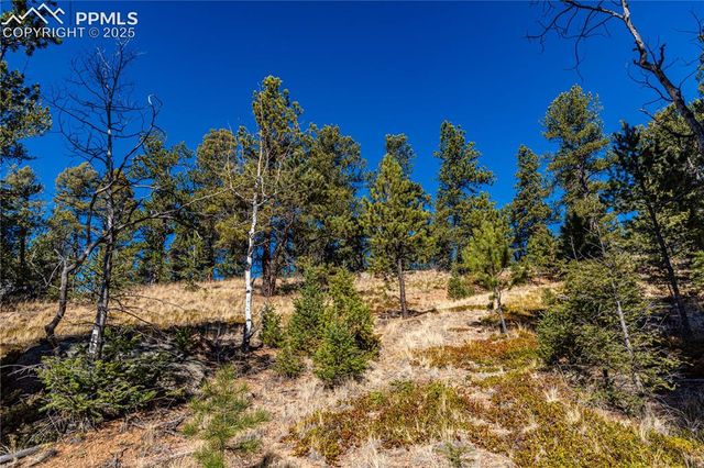 Arrowhead Road, Florissant, CO 80816