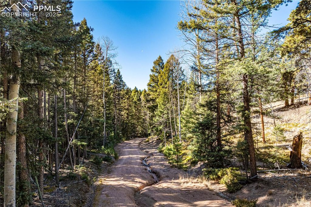 Arrowhead Road, Florissant, CO 80816 — photo 3