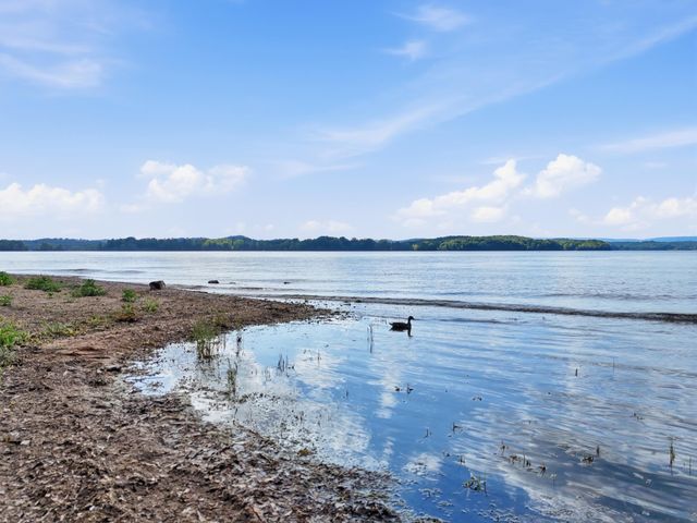 6209 Massengale Hollow Road, Harrison, TN 37341