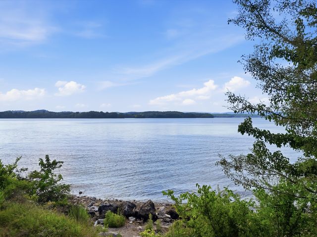 6209 Massengale Hollow Road, Harrison, TN 37341