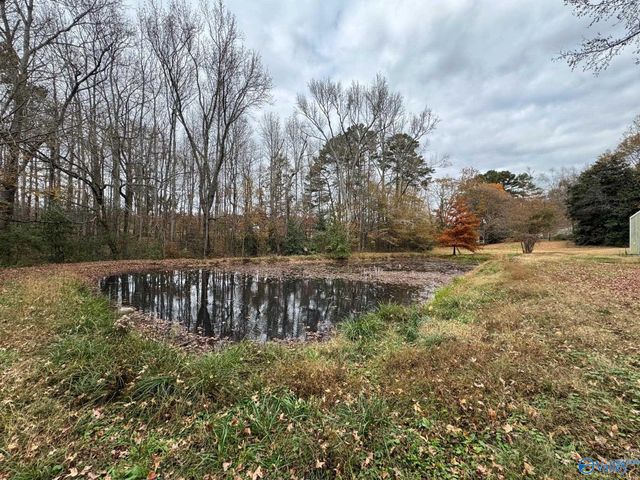 1950 South Broad Street, Albertville, AL 35950