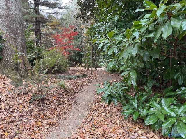 1950 South Broad Street, Albertville, AL 35950