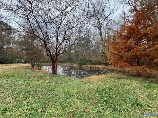 1950 South Broad Street, Albertville, AL 35950