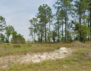 23949 NW FALCON AVENUE, Dunnellon, FL 34431