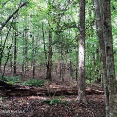 0 Bowden Road, Spring Hope, NC 27882