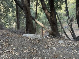 0 Mojave River, Cedarpines Park, CA 92322
