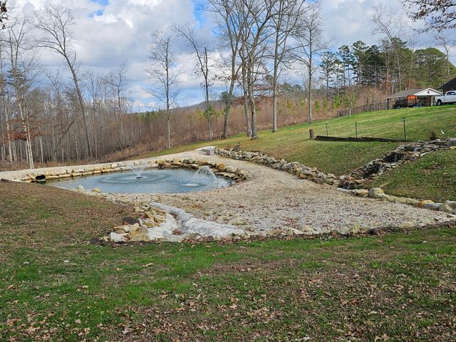 202 55th Avenue, Gruetli Laager, TN 37339