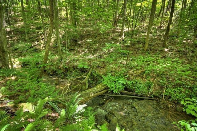 276 Pine Ridge Road, Ellijay, GA 30536