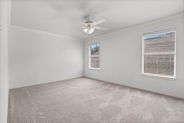 2005 Forest Hill CV, Round Rock, TX 78665