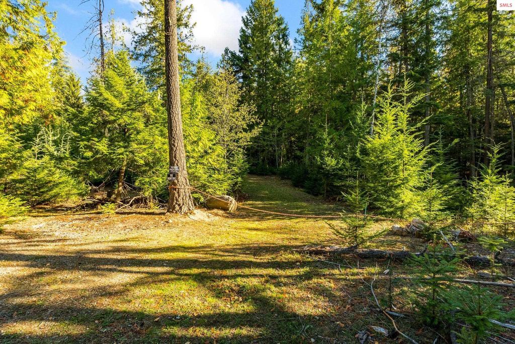 NKA Saddleback Drive, Sagle, ID 83860 photo 3