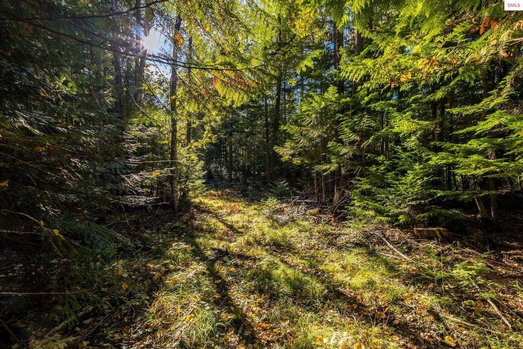 NKA Saddleback Drive, Sagle, ID 83860 photo 4