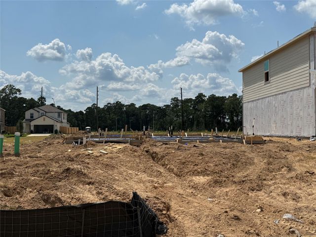 226 Brazen Forest Trail, Magnolia, TX 77354