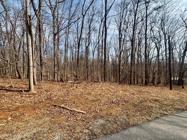 Lot 99 Driftwood CT, Moneta, VA 24121