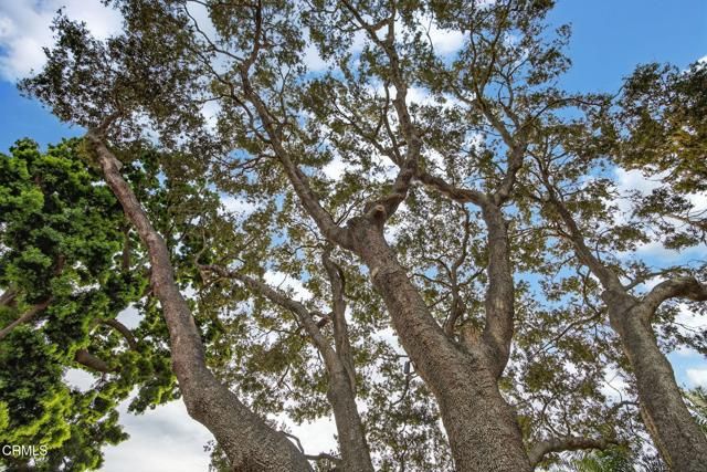 281 Glen Ellen Drive, Ventura, CA 93003