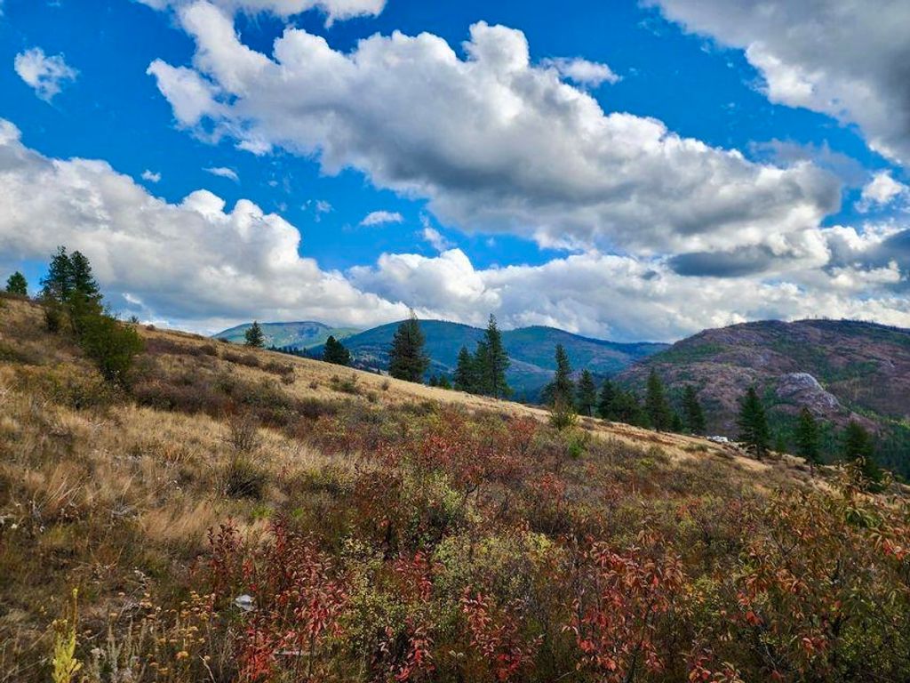 140 Lambert Mountain Rd, Republic, WA 99166 photo 2