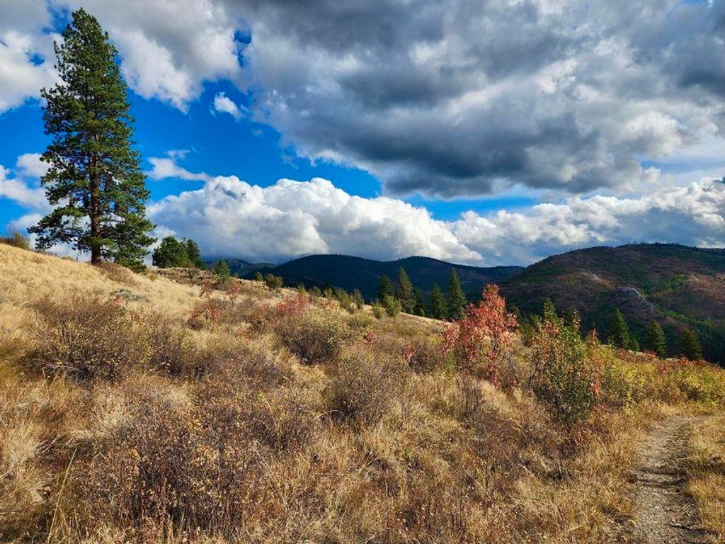 140 Lambert Mountain Rd, Republic, WA 99166 photo 9