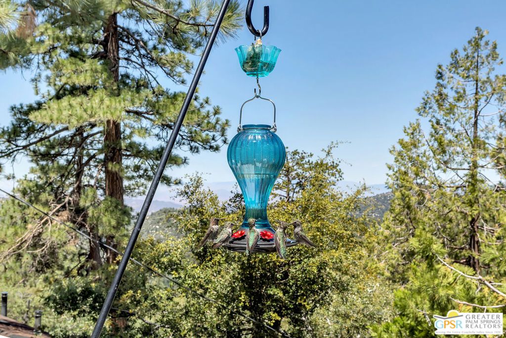 Image 14 of property listing at 23971 Skyview Drive, Idyllwild, CA 92549