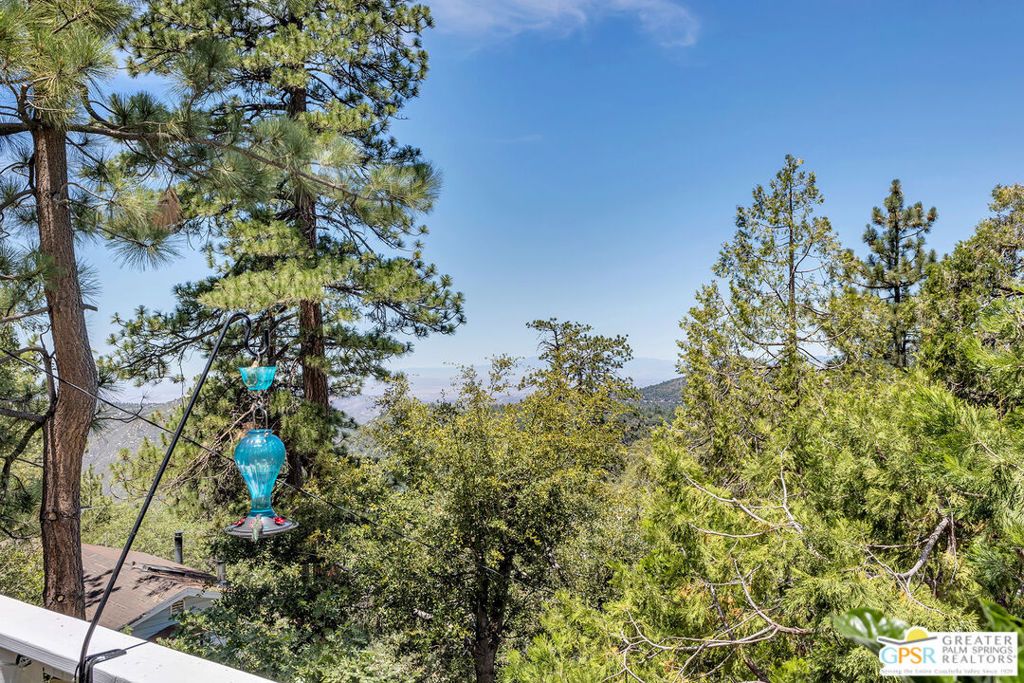 Image 16 of property listing at 23971 Skyview Drive, Idyllwild, CA 92549