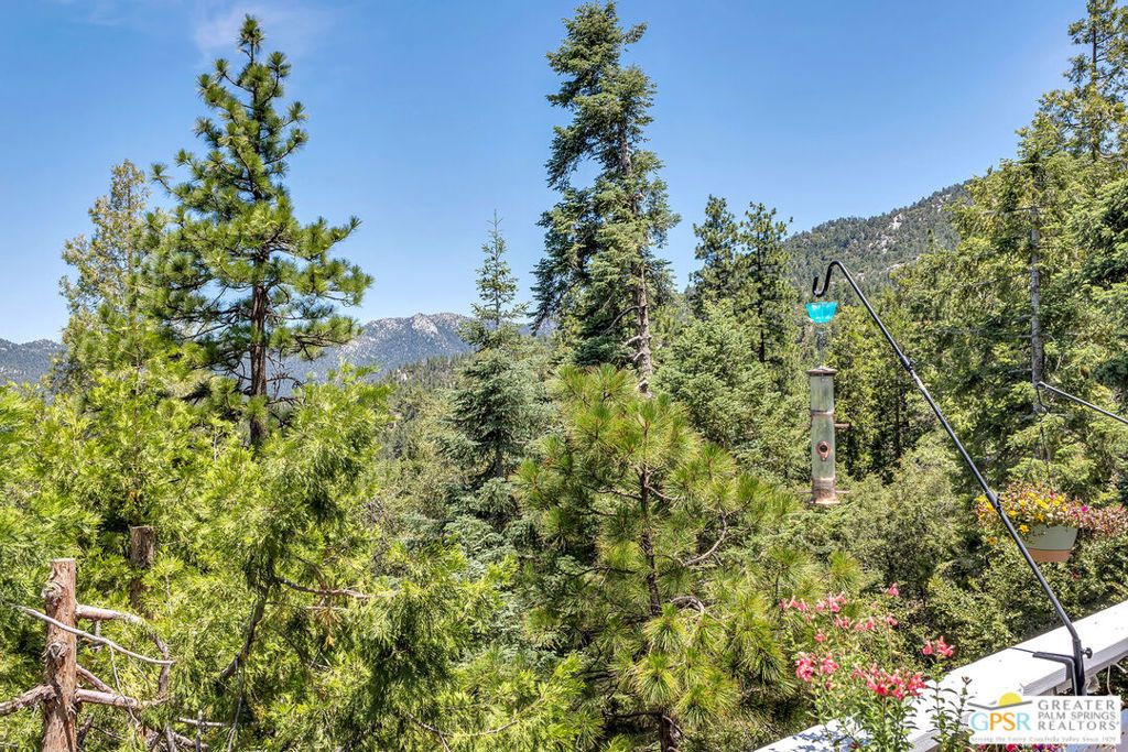 Image 17 of property listing at 23971 Skyview Drive, Idyllwild, CA 92549