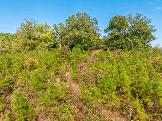 2164 Old Bear Road, Royal, AR 71968