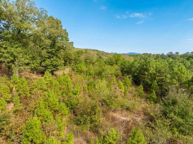2164 Old Bear Road, Royal, AR 71968