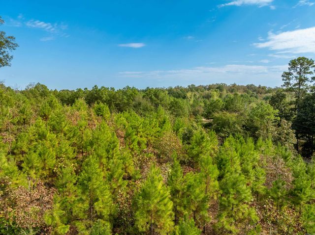 2164 Old Bear Road, Royal, AR 71968