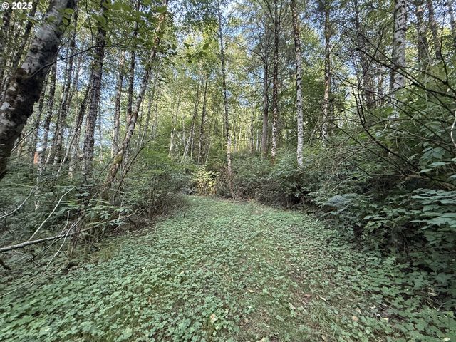 70407 SCHUMACHER Rd, Rainier, OR 97048