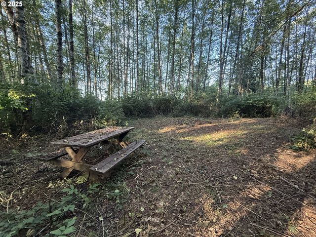 70407 SCHUMACHER Rd, Rainier, OR 97048