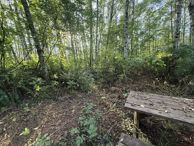 70407 SCHUMACHER Rd, Rainier, OR 97048