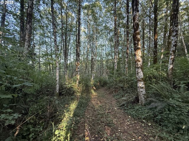 70407 SCHUMACHER Rd, Rainier, OR 97048