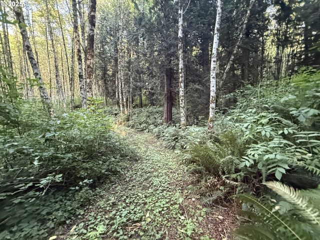 70407 SCHUMACHER Rd, Rainier, OR 97048
