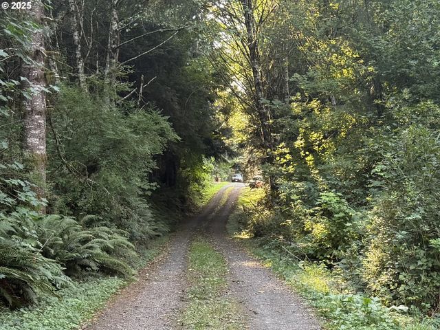 70407 SCHUMACHER Rd, Rainier, OR 97048