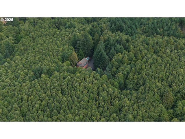 70407 SCHUMACHER Rd, Rainier, OR 97048