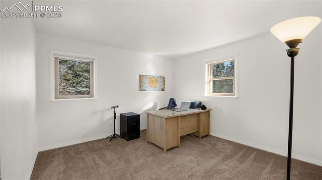 721 Sunnywood Place, Woodland Park, CO 80863