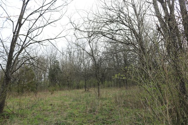 1475 Saltwell - Headquarters Road, Carlisle, KY 40311