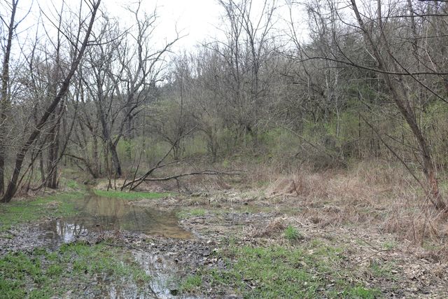 1475 Saltwell - Headquarters Road, Carlisle, KY 40311