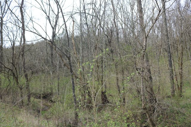 1475 Saltwell - Headquarters Road, Carlisle, KY 40311