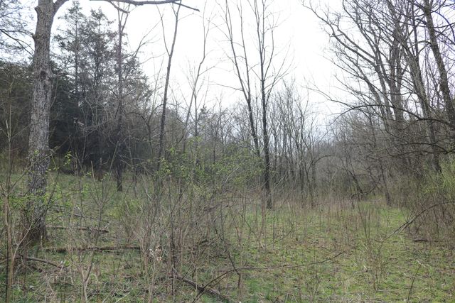 1475 Saltwell - Headquarters Road, Carlisle, KY 40311