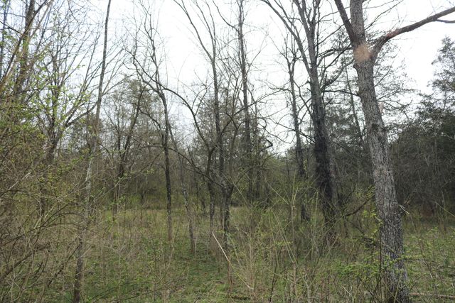 1475 Saltwell - Headquarters Road, Carlisle, KY 40311