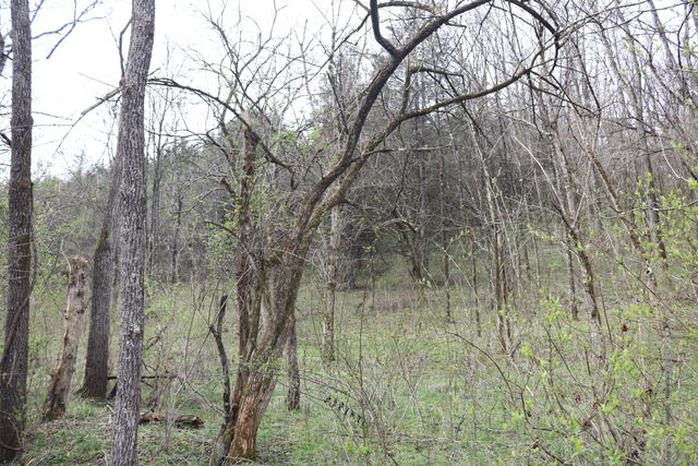 1475 Saltwell - Headquarters Road, Carlisle, KY 40311