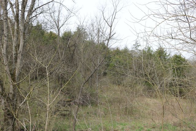 1475 Saltwell - Headquarters Road, Carlisle, KY 40311