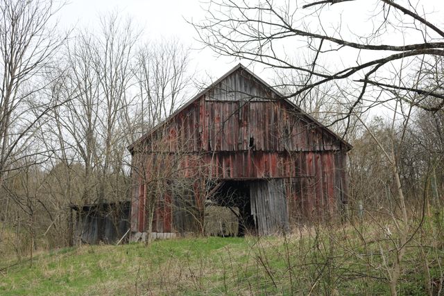 1475 Saltwell - Headquarters Road, Carlisle, KY 40311