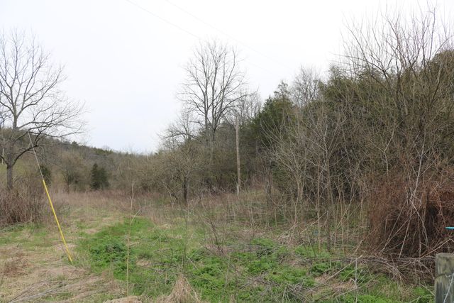 1475 Saltwell - Headquarters Road, Carlisle, KY 40311