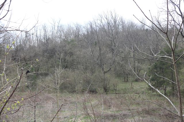 1475 Saltwell - Headquarters Road, Carlisle, KY 40311